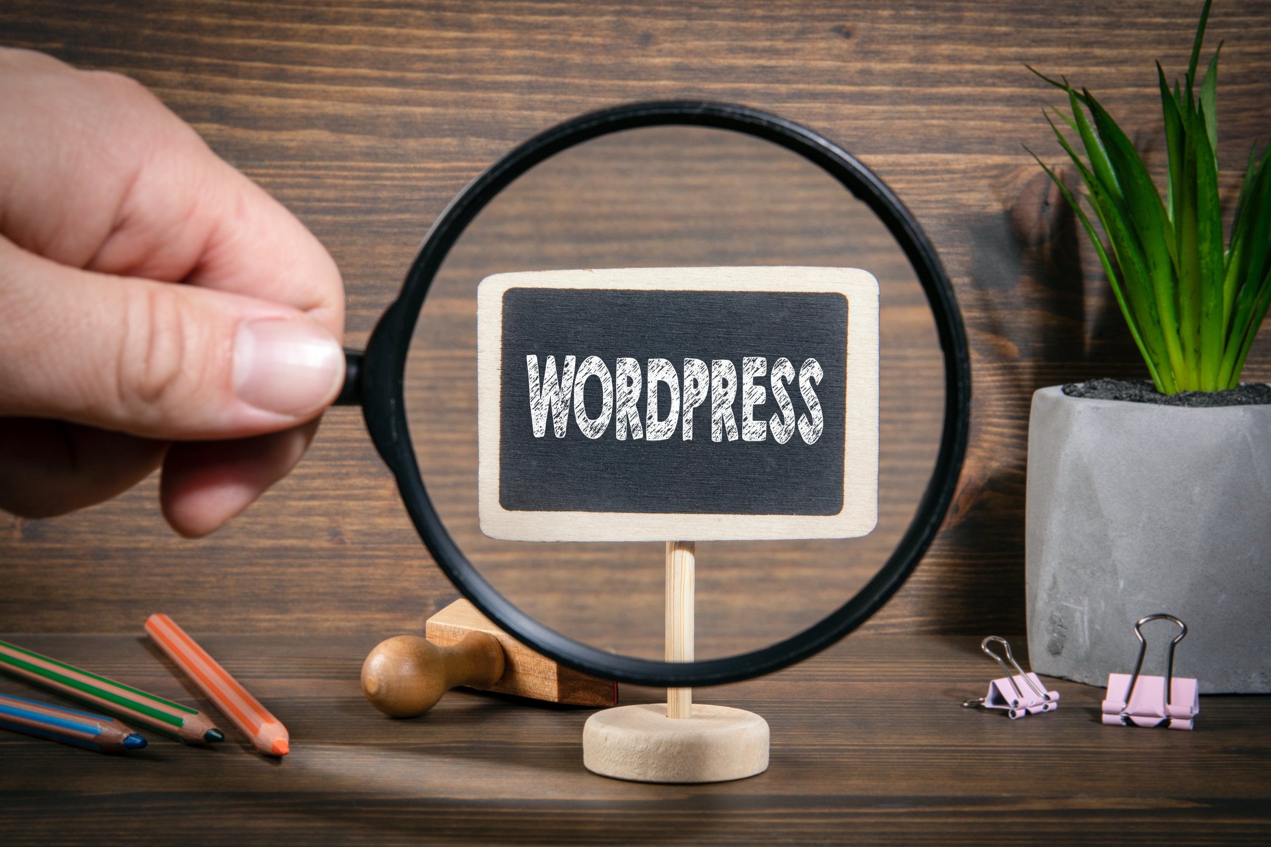 How To Find The Best WordPress Developers