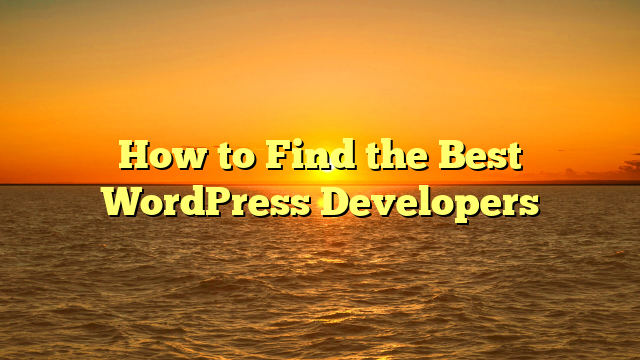 How to Find the Best WordPress Developers