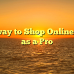 The way to Shop Online Such as a Pro