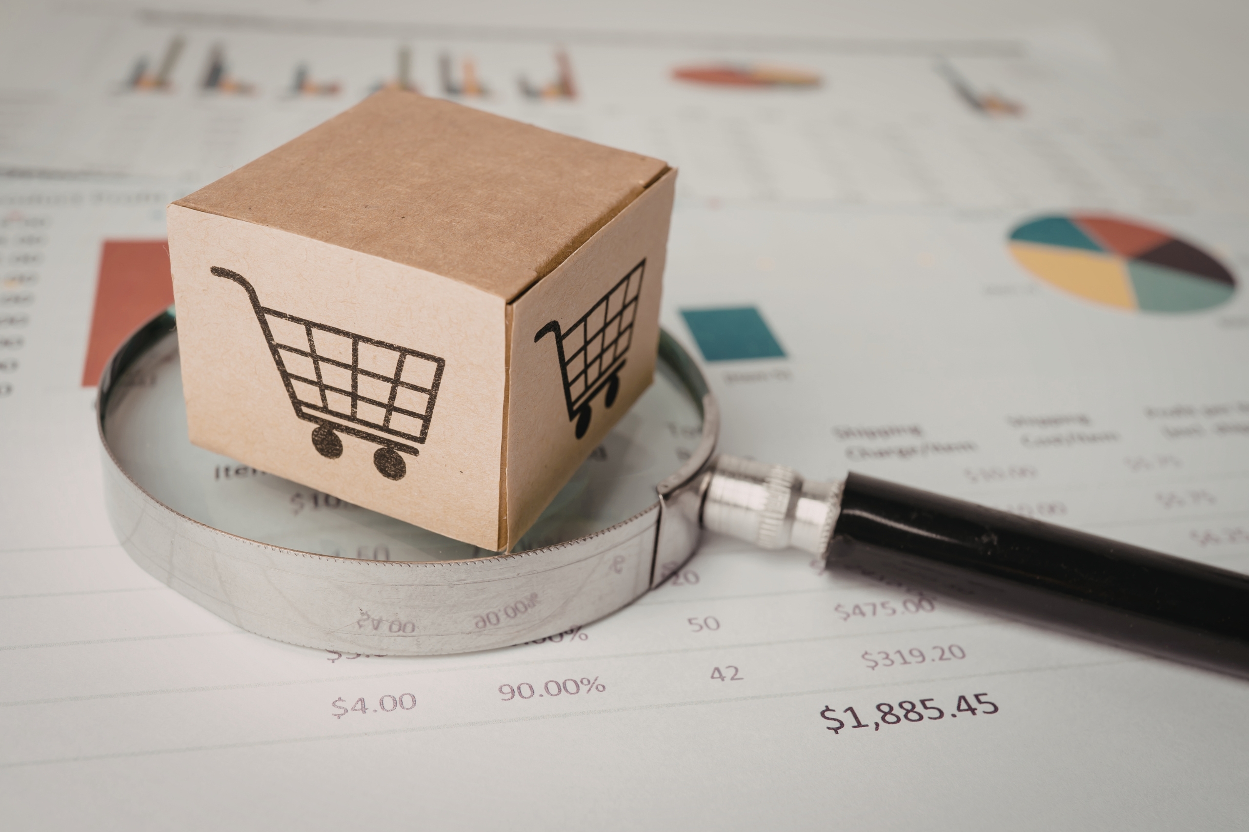 Using A Product Overview To Promote Your Enterprise Online