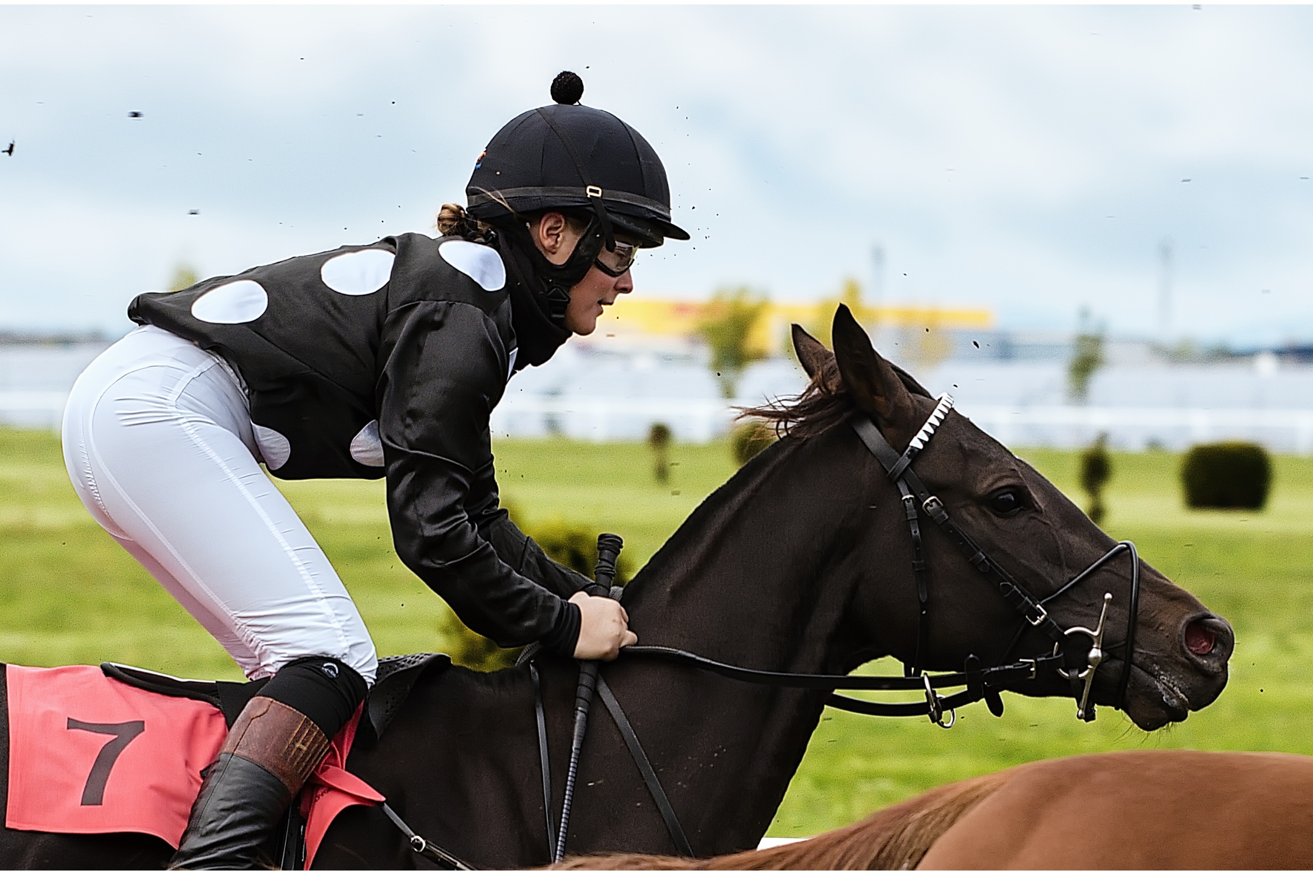 Horse Racing Tips Today Online