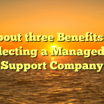 About three Benefits of Selecting a Managed IT Support Company