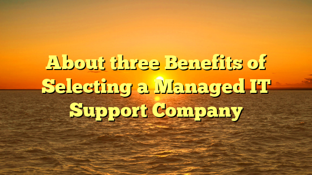 About three Benefits of Selecting a Managed IT Support Company