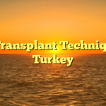 Hair Transplant Techniques in Turkey