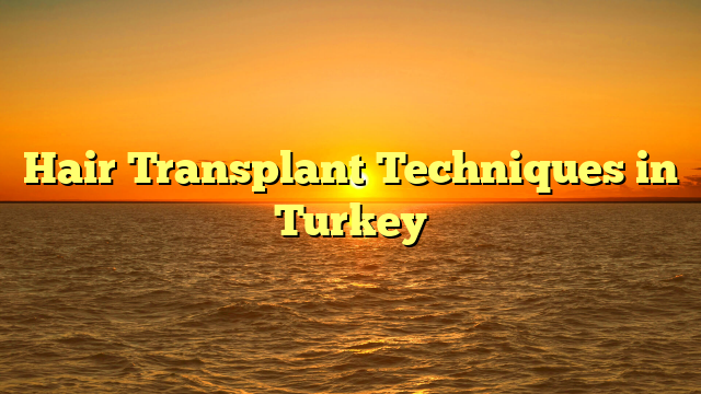 Hair Transplant Techniques in Turkey